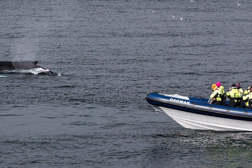 Een boot genaamd DAGMAR met mensen die reddingsvesten dragen op het water. 5
