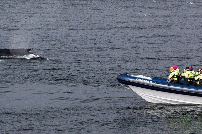 Een boot genaamd DAGMAR met mensen in reddingsvesten op het water. 5