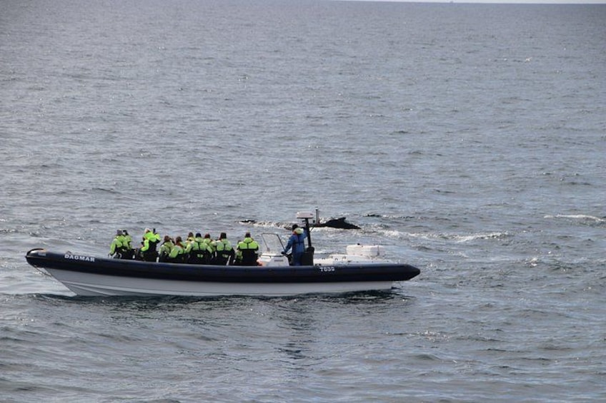 Een speedboot met verschillende mensen die reddingsvesten dragen, vaart over het water. 2