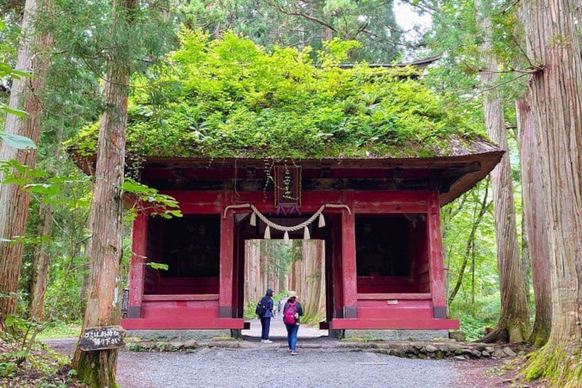 Full Day Snow Monkey Park and Togakushi Shrine Tour in Nagano 1