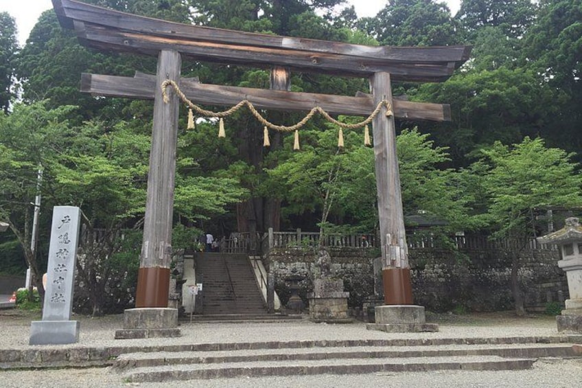 Full Day Snow Monkey Park and Togakushi Shrine Tour in Nagano 2