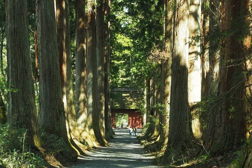 Full Day Snow Monkey Park and Togakushi Shrine Tour in Nagano 3
