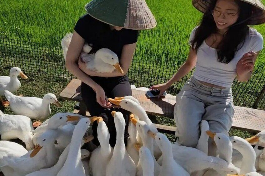 Two people feeding ducks in a grassy area with a fence in the background. 5