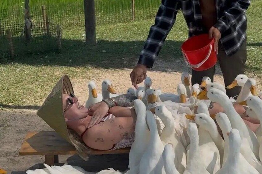 A person lying in a basket surrounded by ducks. 3