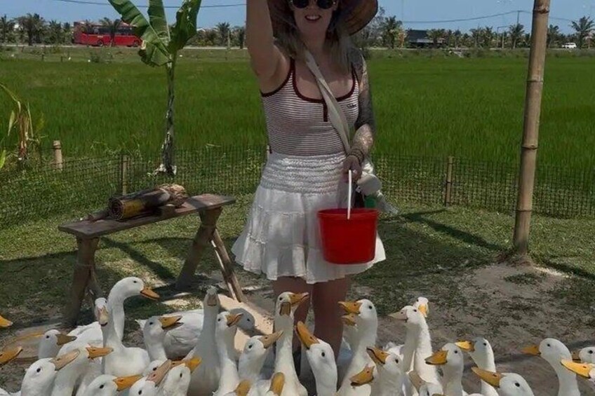 A person feeding ducks in a field with a red bucket. 1