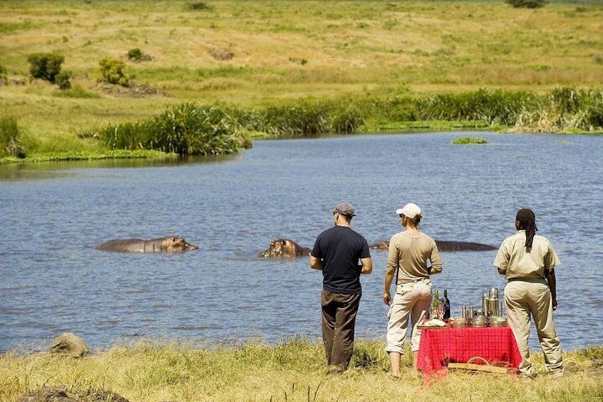 A group of people observing hippos in a river. 4