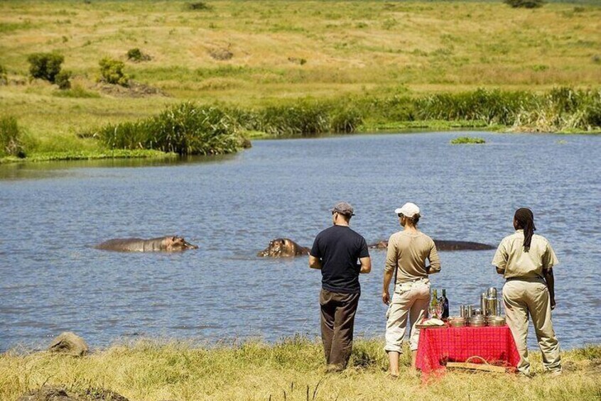 Three people observing hippos in a river. 5