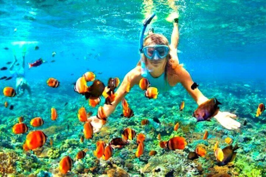 Iemand snorkelt onder water, omringd door fel oranje vissen. 5