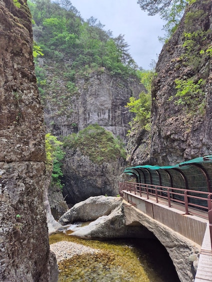 A stone bridge over a clear stream in a rocky canyon with lush greenery. 5