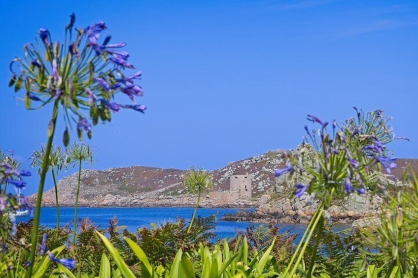 A coastal landscape with a rocky hill, a building, and purple flowers in the foreground. 2