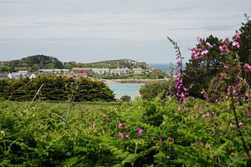 A coastal landscape with a view of a town, greenery, and a body of water. 1