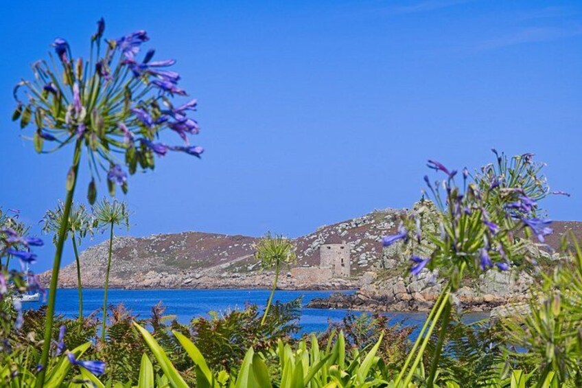 A coastal landscape with a rocky hill, a small building, and purple flowers in the foreground. 2