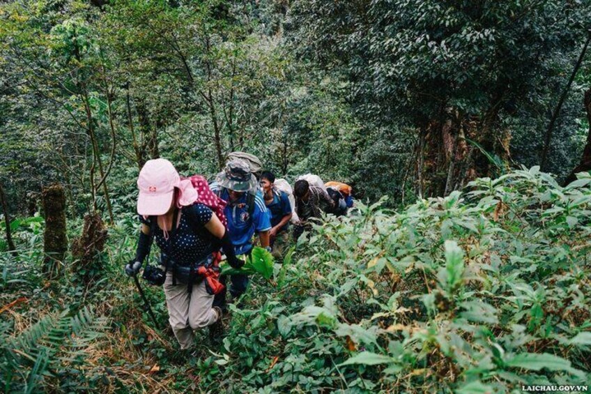 Un grupo de excursionistas recorriendo un sendero forestal. 3