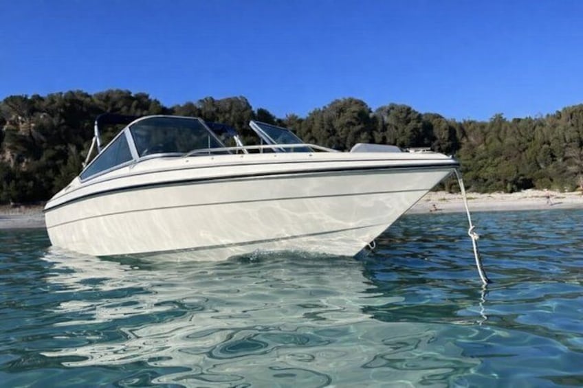 A white motorboat on calm water with a clear sky and a forested shoreline in the background. 1