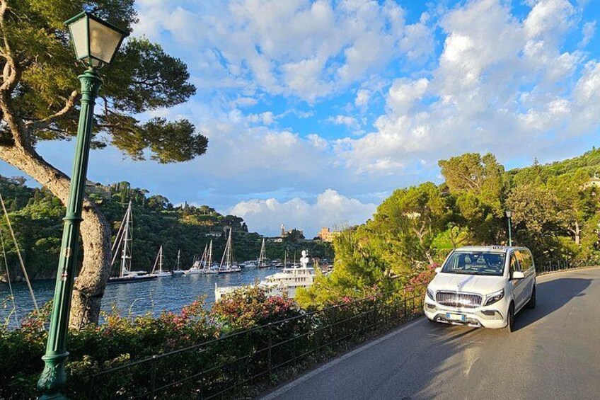On the way back from Portofino 2