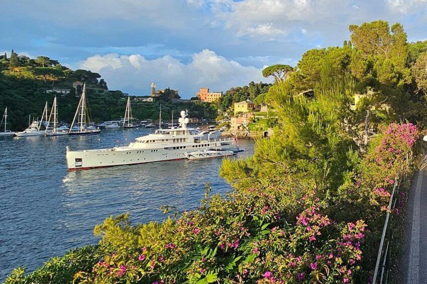 portofino 5