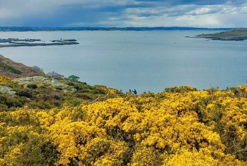 Howth Coastal Tour - Dublin 2