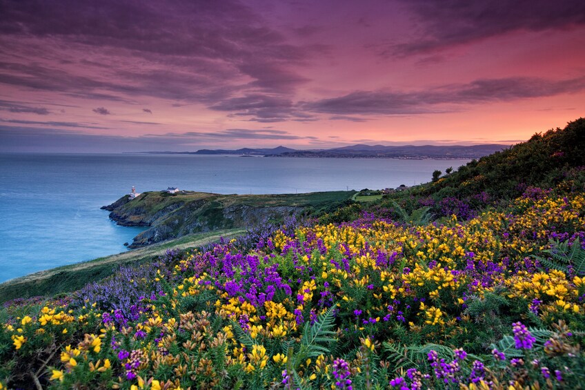 Howth Coastal Tour - Dublin 3