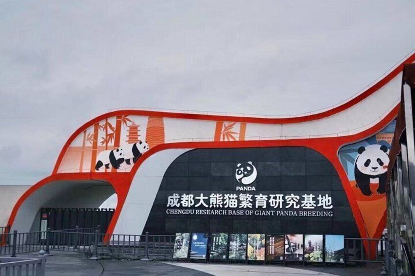 Chengdu Giant Panda Base Ticket / Optional Private Guide Service 2