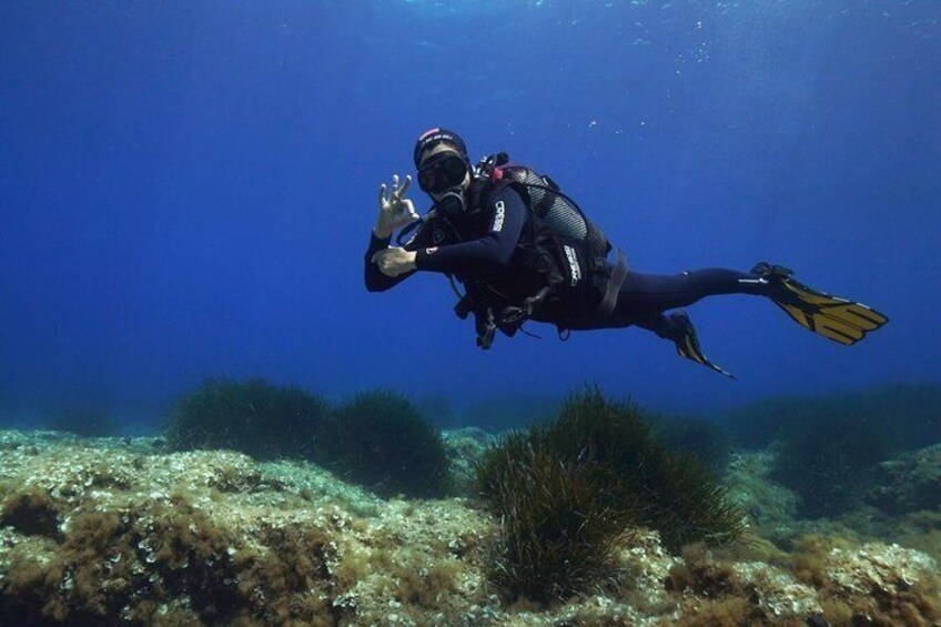 Un plongeur sous l’eau, équipé d’une bouteille de plongée et de palmes, entouré de plantes marines et du fond de l’océan. 1