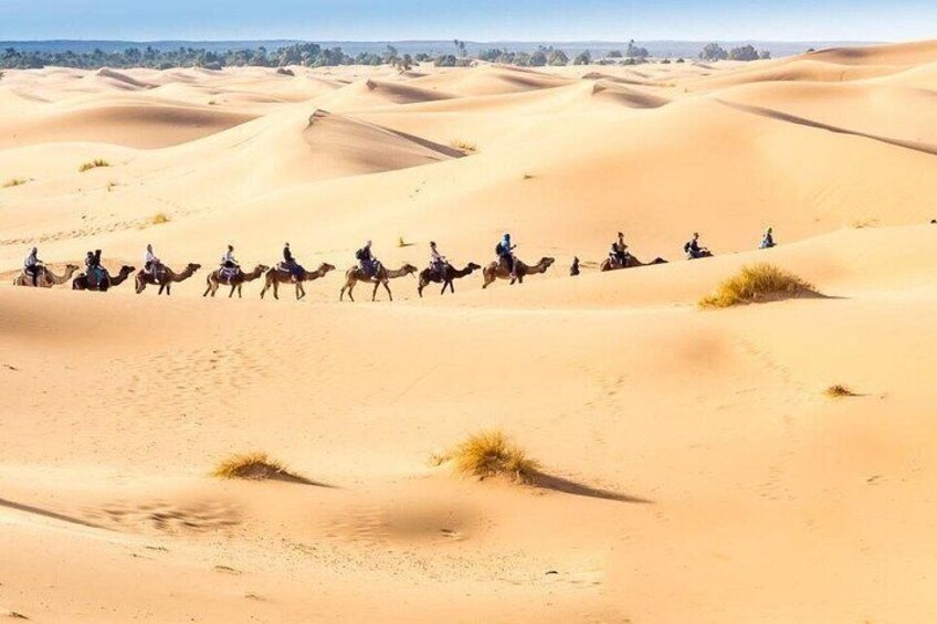 A camel caravan traversing a desert landscape with sand dunes. 1