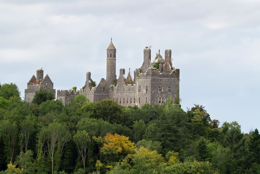 A historic castle surrounded by dense forest. 1
