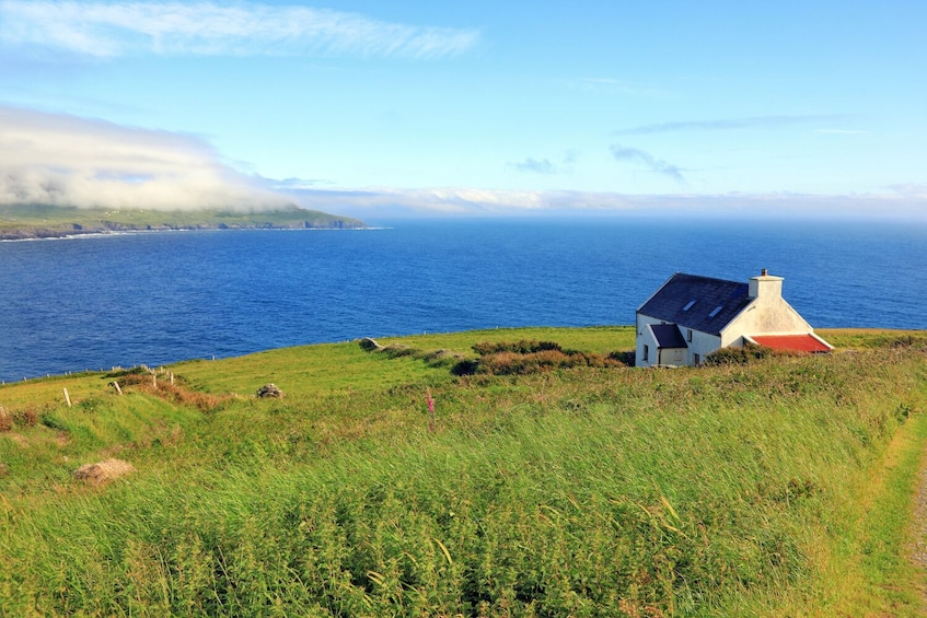 A coastal landscape with a white house with a red roof, grassy terrain, and the ocean in the background. 3