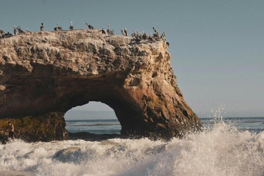 Une arche rocheuse sur laquelle sont perchés des oiseaux, et en contrebas, les vagues qui s’écrasent. 5