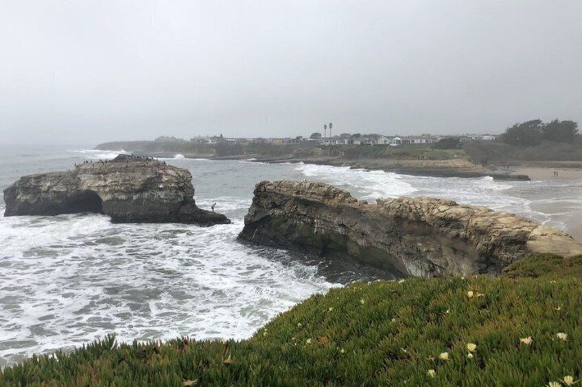 Une côte rocheuse où les vagues s’écrasent contre les rochers, une zone herbeuse parsemée de fleurs jaunes et, au loin, une vue sur des bâtiments situés sur une colline. 3