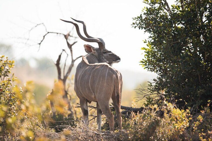 8 Day Maasai Village And Wildlife Experience 2