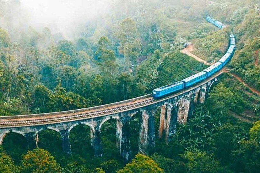 A train on a bridge through a forested area. 3