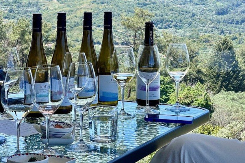 A table with wine bottles and glasses, overlooking a hilly landscape. 5