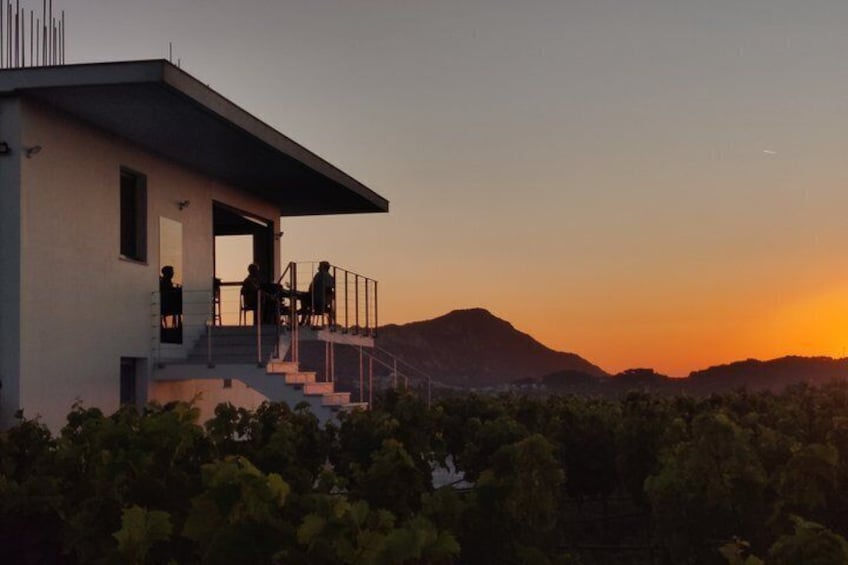 Samos: Wine Tasting at Kostaki Organic Winery 2