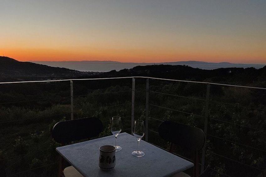 Samos: Wine Tasting at Kostaki Organic Winery 2