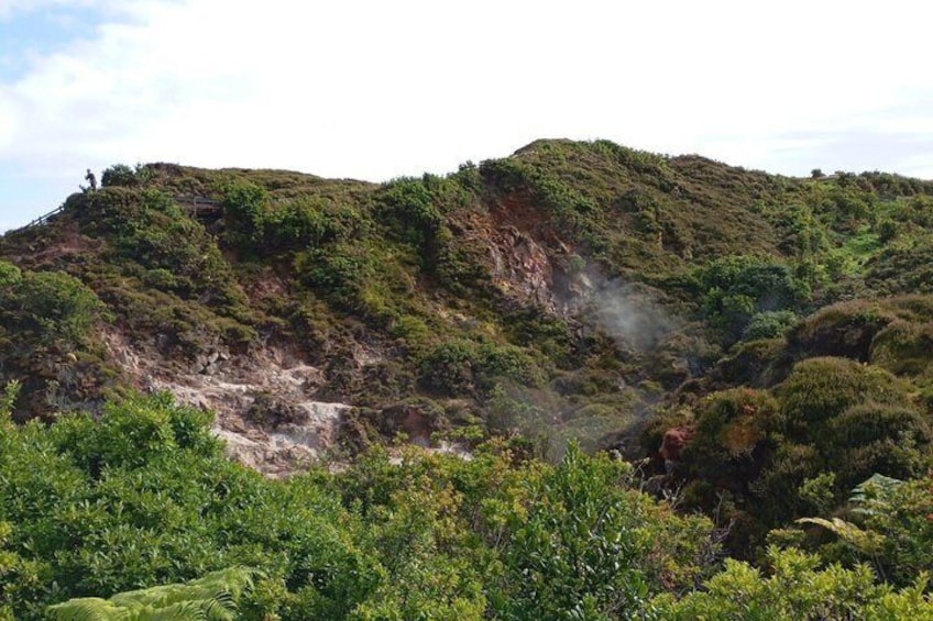 Et bjerglandskab med frodig vegetation og en tydelig sti. 5
