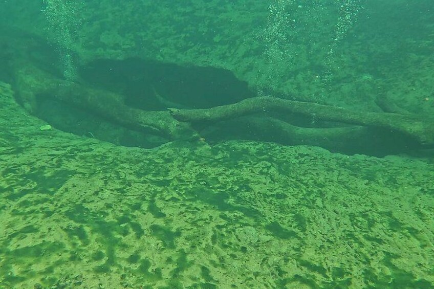 Florida Kayak/Fishing Tours Blue Springs Orlando 1