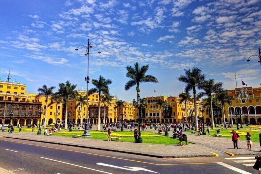 A bustling square with palm trees, historic yellow buildings, and a crosswalk. 2