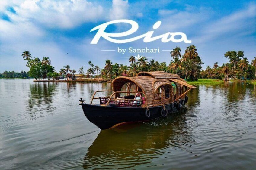 A traditional boat on water with a thatched roof, surrounded by palm trees and a clear sky. 1