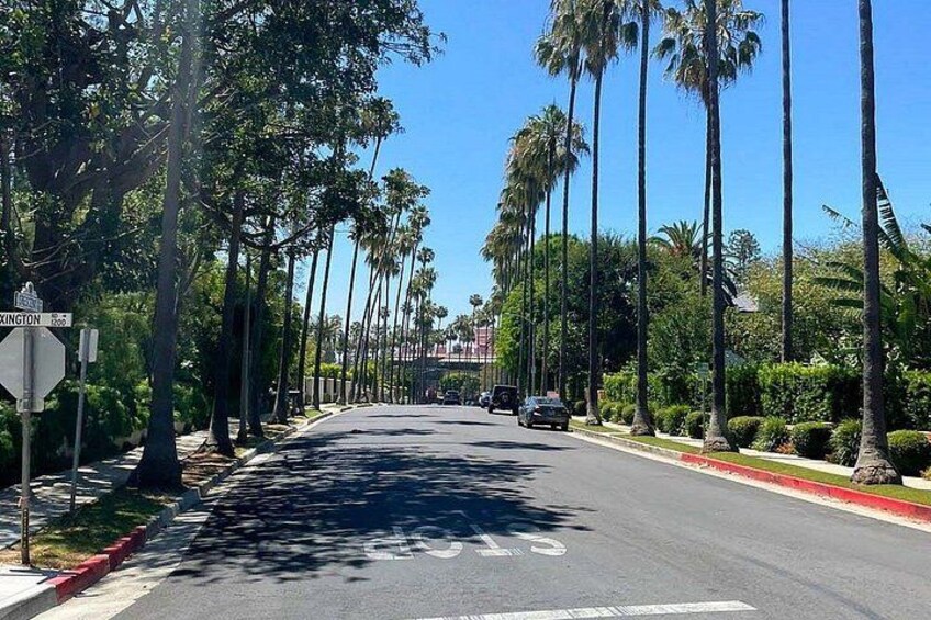 Grand LA Tour 7 Hour Open Bus Adventure from Santa Monica 2