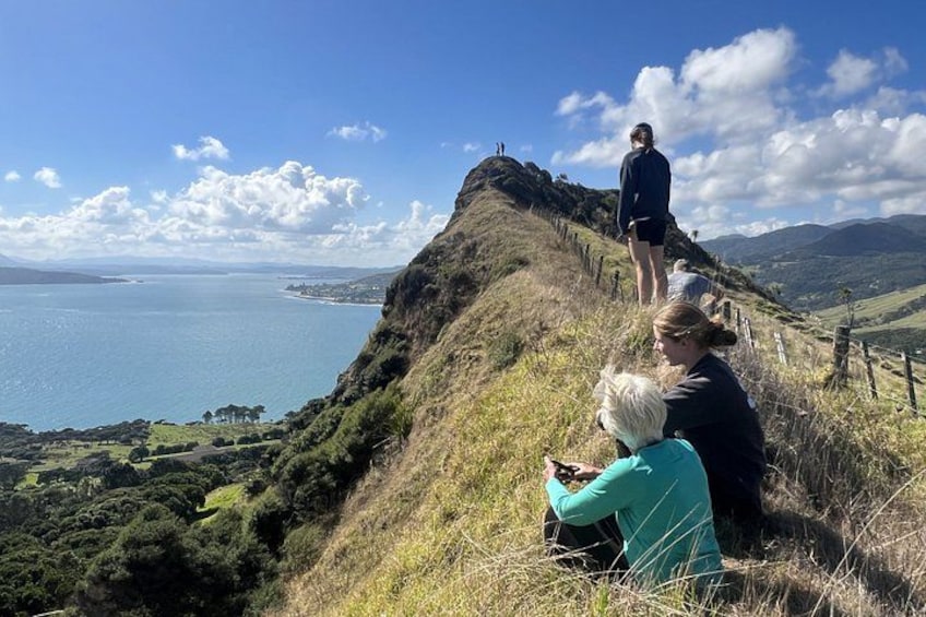 A coastal landscape with a grassy hill, a person standing at the top, and a body of water in the distance. 1