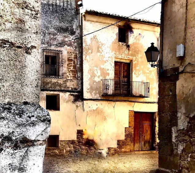 Picture 4 for Activity Valencia: Requena Wine Tour with Lunch and Tastings 5