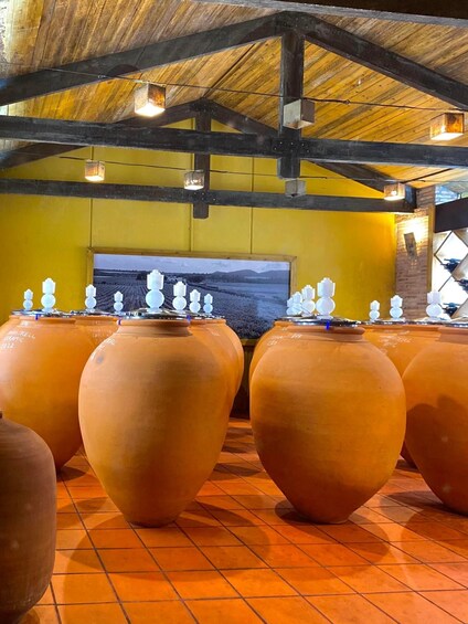 Picture 1 for Activity Valencia: Requena Wine Tour with Lunch and Tastings 2