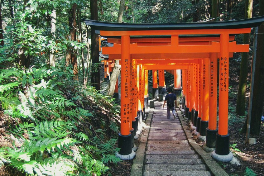 A pathway lined with orange torii gates in a forested area. 5