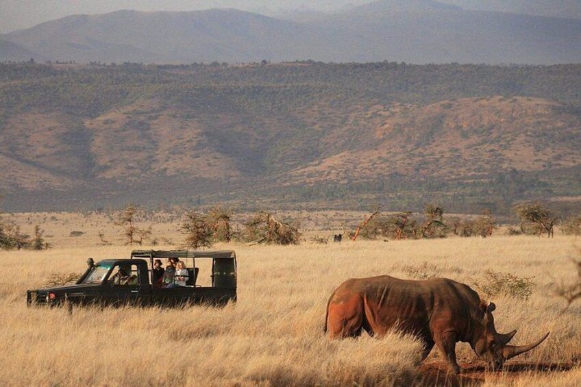 A safari vehicle with passengers, a rhinoceros, and a savannah landscape with hills. 3