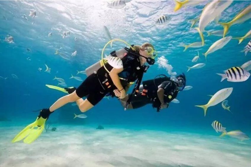 Dos buzos bajo el agua con peces nadando alrededor. 1