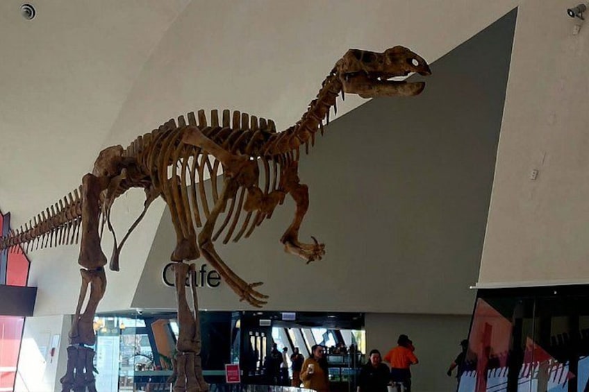 Canberra Private Day Tour 1