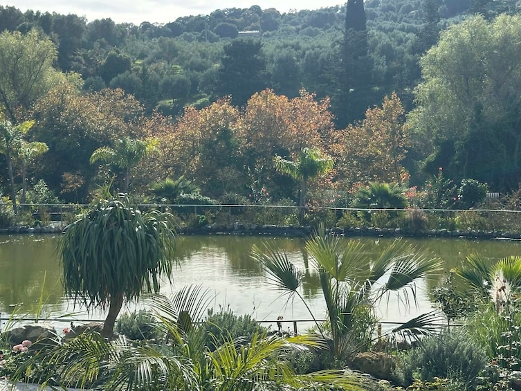 A tranquil lake surrounded by lush greenery and trees with autumn foliage. 1