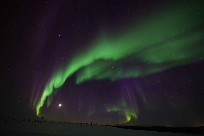 The Northern Lights over a snowy landscape. 4