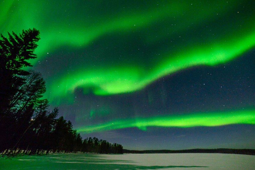 The Northern Lights over a snowy landscape with trees. 2