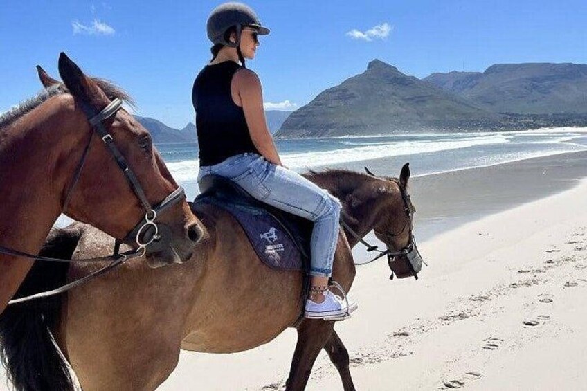 Cape Town quad biking | Beach Horse riding ,Safari & Hotel pickup 1